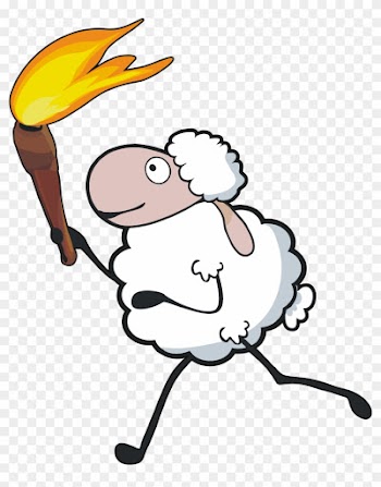 There Are No Flame Retardant Chemicals Used In Wool - There Are No Flame Retardant Chemicals Used In Wool