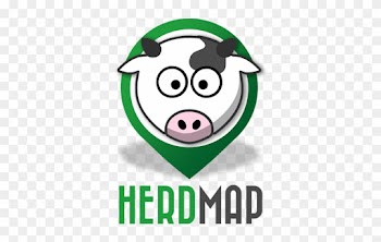 There Is An App To Help You Party In St - Cartoon Cow