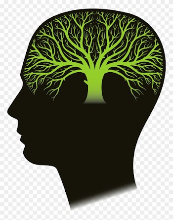 There May Be Safe, Natural Help For Children And Adults - Environmental Conservation Law Of New York, 2017 Edition;
