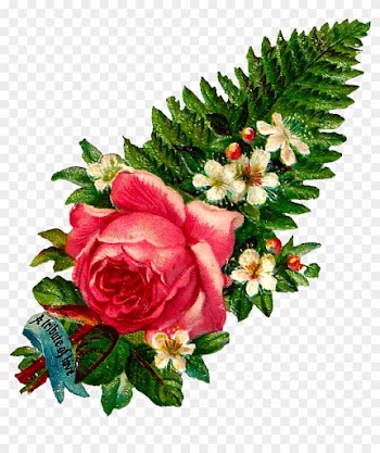 These Are Beautiful Pink Rose Graphics, Both In ,jpg - Garden Roses