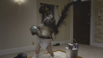 These Puppy Monkey Baby Memes Try To Make Sense Of Super Bowl 50's ...