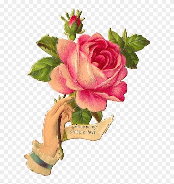 These Victorian Hand Whimsies Are Always So Lovely - Antique Rose Illustration