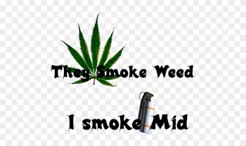 They Smoke Weed, I Smoke Mid - Pot Leaf Square Sticker 3" X 3"