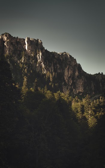 Thick Forest Trees On The Foot Of A Rock Mountain Under Gray  Skies