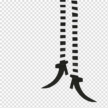 Thigh Human leg , others transparent background PNG clipart