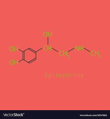Thin flat line icon template for website or vector image