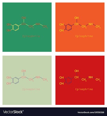 Thin flat line icon template for website or vector image