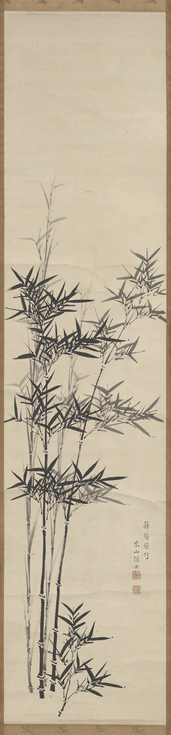 thin, tall shoots of bamboo | Free Photo - rawpixel