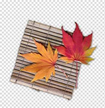 Think Everest: Scaling Mountains with the Mind Gujarati Leaf, Simple and elegant bubbles floating petals transparent background PNG clipart