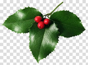 THIRD CHRISTMAS,  read fruits with leaves transparent background PNG clipart