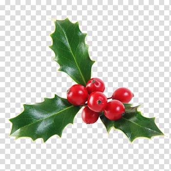 THIRD CHRISTMAS, round red fruits transparent background PNG clipart