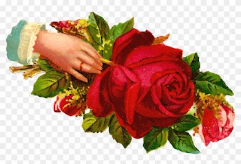 This Digital Scrap Features A Gorgeous Red Rose And - Garden Roses