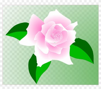 This Free Clip Arts Design Of Pink Rose - Single Pink Rose Clip Art