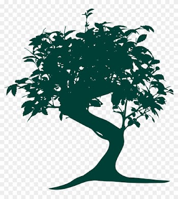 This Free Icons Png Design Of Bonsai Silhouette - Bonsai Tree Vector Png