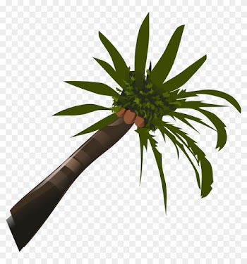 This Free Icons Png Design Of Coconut-palm - Palm Tree Clip Art