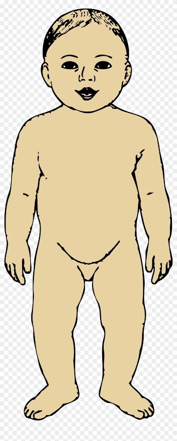 This Free Icons Png Design Of Toddler Png - Clip Art Baby Body