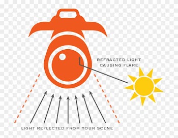 This Happens When Your Subject Is Backlit And You Are - Graphic Design