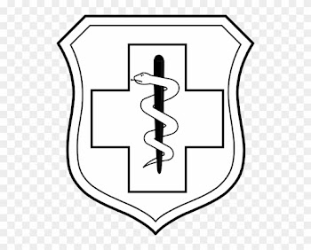 This Image Rendered As Png In Other Widths - Air Force Medical Badge