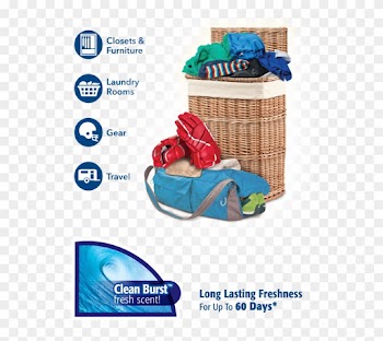 This Innovative Approach To Odor Elimination Takes - Storage Basket