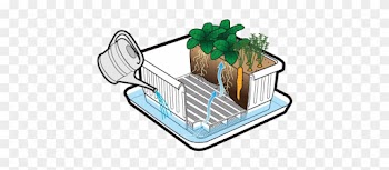 This Is A Healthy, Sustainable Way To Water Your Plants - Nature's Footprint Coconut Coir 650g - Pack Of 5.