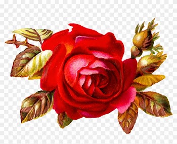 This Is A Stunning Digital Red Rose Graphic I Created - Vintage Red Roses Clipart