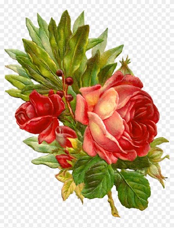 This Is An Amazingly Beautiful Digital Flower Graphic - Digital Rose Flower