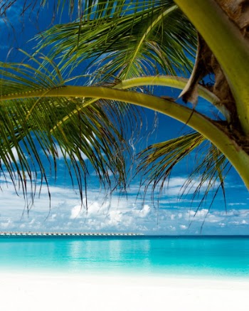 This is how a calm day looks like in paradise.