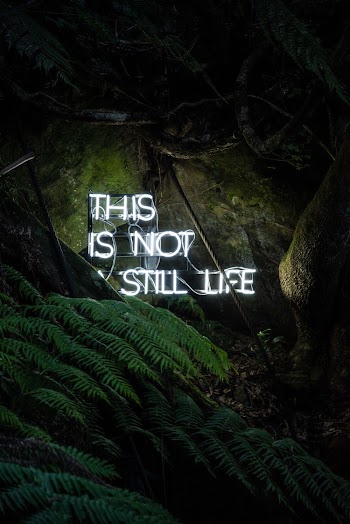 This Is Not Still Life Sign