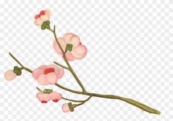 This Is Our Story - Garden Roses