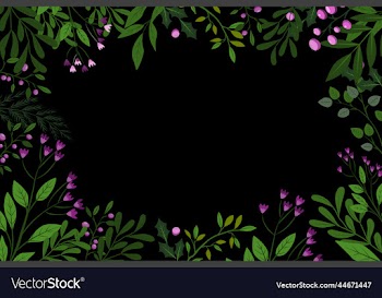 this is the place for the text leaves herbs