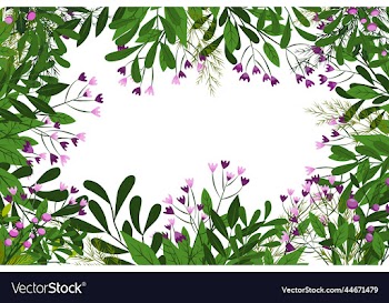 this is the place for the text leaves herbs