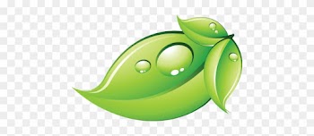This Is Who We Are - Green Leaf Design Png