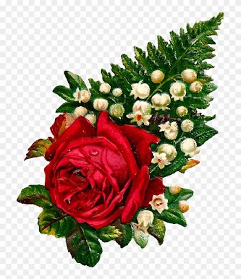 This Page Contains Information About White Lilies And - Clip Art