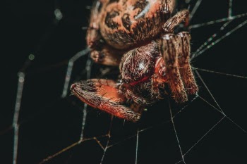 This photo was taken on a night hike with some friends... Then forgotten about until I was recently going through old photos and editing them. I am very happy that I did - this photo turned out amazing.