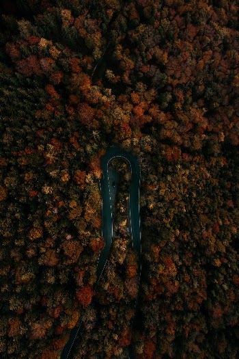 This shot was taken in my hometown Salzburg in beautiful fall. I loved this street turn so much.