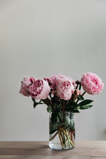This simple image of a bunch of peonies in a vase is just lovely. My wife arranged them beautifully and I just had to take a shot of it.