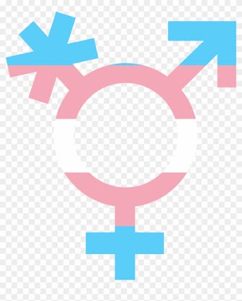 This Symbol Incorporates The Star Of Life Used For - Transgender Symbol