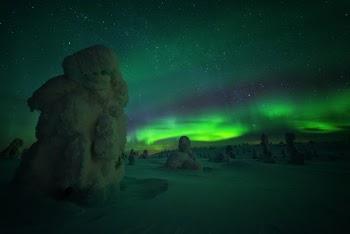 This trip was one of the most intense of my life: after drove around 18 hours from Leknes (Lofoten) to Posio (Finland) and nearly a thousand of km on our shoulder, we sleep around 3 hour before heading up to this really mesmerizing place. In Riisitunturin National Park, we have spent the sunset and the night, and after that, my friend, Alessandro, has lost himself during the night, shooting the trees under northern light, but fortunately Finnish Police have found him in less than 2 hours, but this is another story.