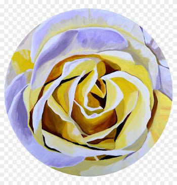 This Was An Unusual Rose Too, It Was A Bit Creamy And - Garden Roses