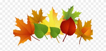 This Week The Children Continued To Explore The Season - Autumn Leaves Clip Art