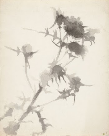 Thistles, Maria Wiik | Free Photo - rawpixel