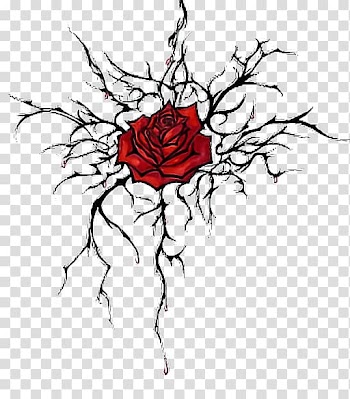 Thorns, spines, and prickles Drawing Rose Sketch, rose transparent background PNG clipart