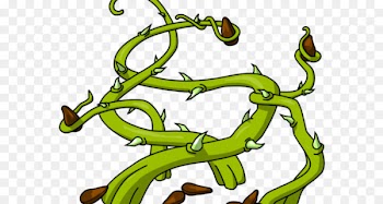 Thorns Spines And Prickles, Seed, Honey Locust, Green, Leaf PNG