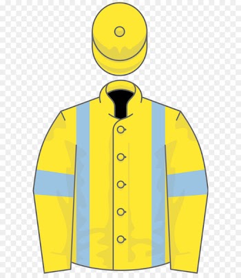 Thoroughbred Horse racing Jockey Wikimedia Commons -  