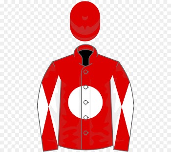 Thoroughbred Ladbrokes Trophy Irish Derby Horse racing - endeavour temper 5 years 