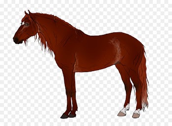 Thoroughbred Mare Pony Arabian horse Stock illustration - avaricious pattern 