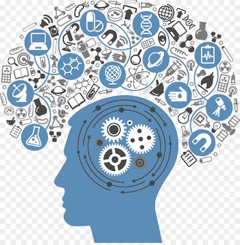 Thought Brain Mind Homo sapiens - Brain 