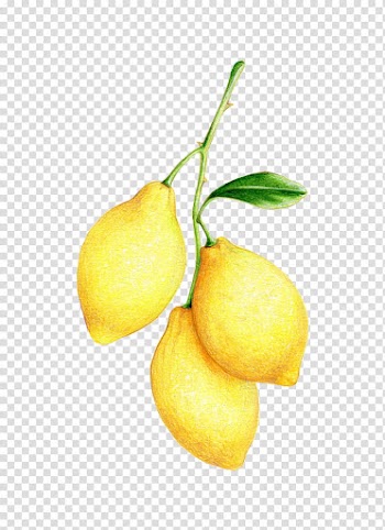 , thre yellow fruits transparent background PNG clipart