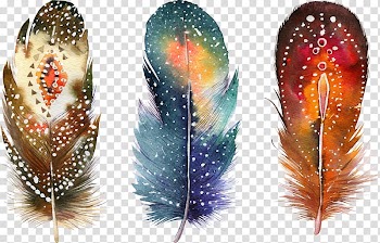 Three assorted-color feathers painting, Watercolor painting Feather Drawing Poster, Fancy feathers transparent background PNG clipart