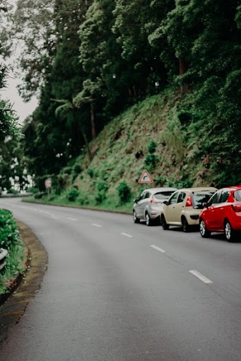 Three Assorted-color Vehicles Near Green Trees